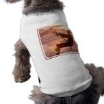 Kiteboard Pet Shirt