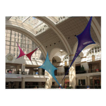 Kites and Sunbeams Postcards