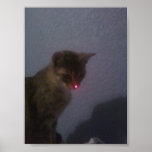 KITTAY_ EMO_THE_RED_NOSED_CUT_CAT POSTER
