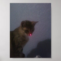 KITTAY_ EMO_THE_RED_NOSED_CUT_CAT POSTER