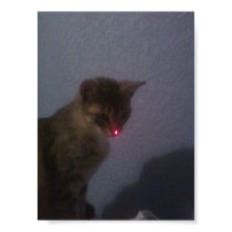 KITTAY_ EMO_THE_RED_NOSED_CUT_CAT posters