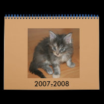 kitten, 2007-2008 calendars