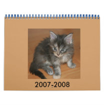 kitten, 2007-2008 calendars