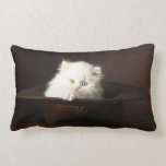 Kitten American MoJo Pillow pillows