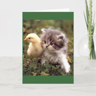 Kitten and Baby Chick card