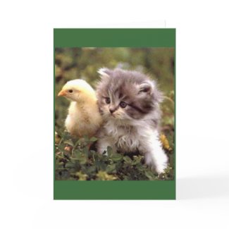 Kitten and Baby Chick card