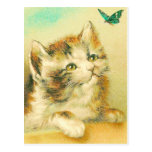 Kitten And Butterfly Post Cards