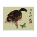 Kitten and Butterfly Postcard