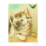 Kitten And Butterfly postcards