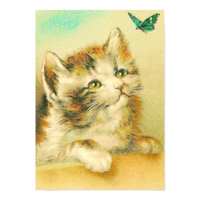 Kitten And Butterfly Poster by vintagetreasurechest