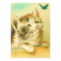 Kitten And Butterfly posters