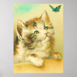 Kitten And Butterfly Poster