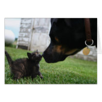 Kitten and dog card