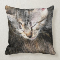 Kitten and Mom pillows