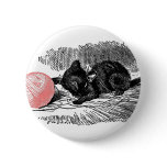Kitten and Pink Yarn