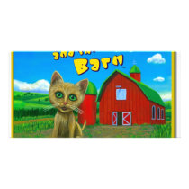 Kitten and the Barn photo cards