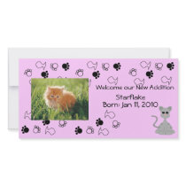 Kitten Announcement - Pink Photo Greeting Card