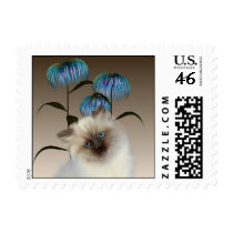 Kitten Asiatic flowers Postage
