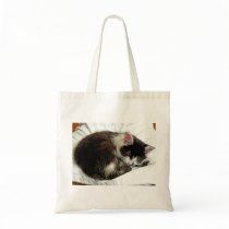 Kitten asleep on White Comforter Bags