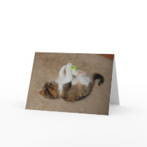 Kitten at Play with Tennis Ball cards by skywatcher Kitten at Play with Tennis Ball cards