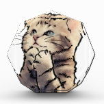 kitten awards
