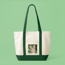 Kitten Bag
