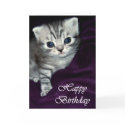 Kitten - Birthday card by mmersdesign Kitten - Birthday card