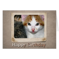 Kitten Birthday Card cards