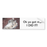 Kitten bumper sticker bumper stickers