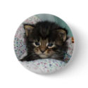 Kitten buttons by Proud_Army_Wife1977 Kitten buttons