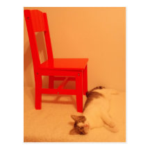 kitten by chair postcard