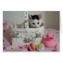 Kitten card