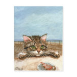 Kitten Cat Pizza Beach Postcard