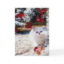 Kitten Christmas Card