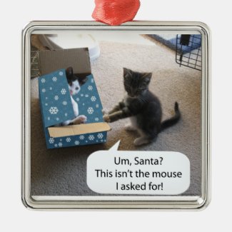 Kitten Christmas Surprise Ornament