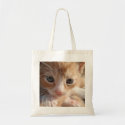 Kitten Cuteness Bag bag