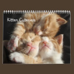 Kitten Cuteness Calendar calendars