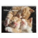 Kitten Cuteness Calendar