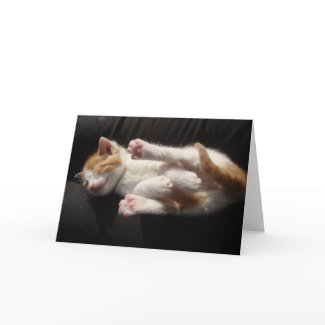 Kitten Cuteness Card card