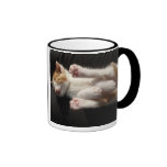 Kitten Cuteness Mug