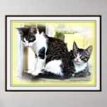 Kitten cuteness poster