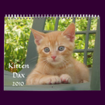 Kitten Dax 2010 calendars by naturegirl7 Kitten Dax 2010 calendars