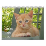 Kitten Dax 2010