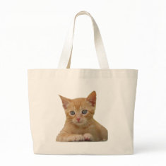 Kitten Dax Bag bag