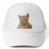 Kitten Dax Hat by naturegirl7 Kitten Dax Hat