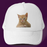Kitten Dax Hat