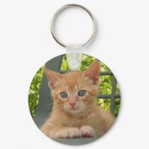 Kitten Dax Keychain by naturegirl7 Kitten Dax Keychain