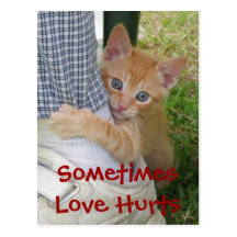 Kitten Dax Love Hurts Postcard