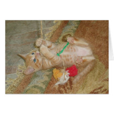Kitten Dax Plays card