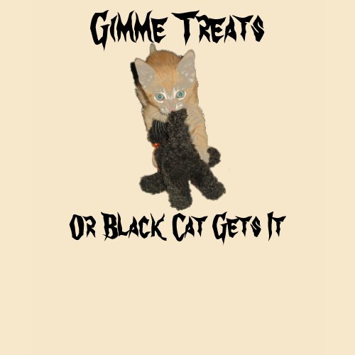 Kitten Dax Treats T-Shirt shirt